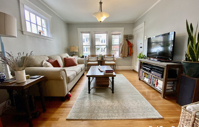 25 SAINT PETER ST