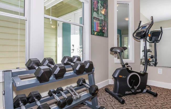 our apartments have a gym with a treadmill and weights