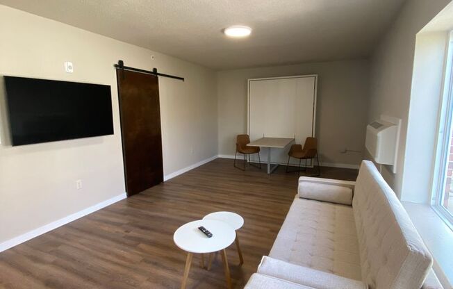 Studio, 1 bath, 462 sqft, $1,175