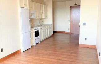 Studio, 1 bath, 369 sqft, $1,350, Unit 202