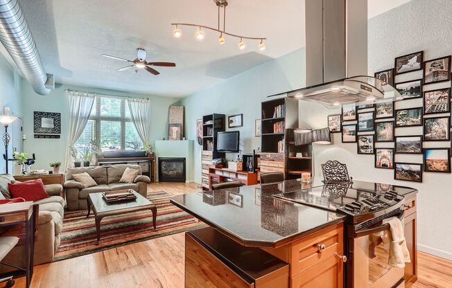 Evolve Real Estate: Stylish Fully-Updated Loft Almost 1000 SQFT, 1 Bed/1Bath in Desirable Lowry Town Center!!!