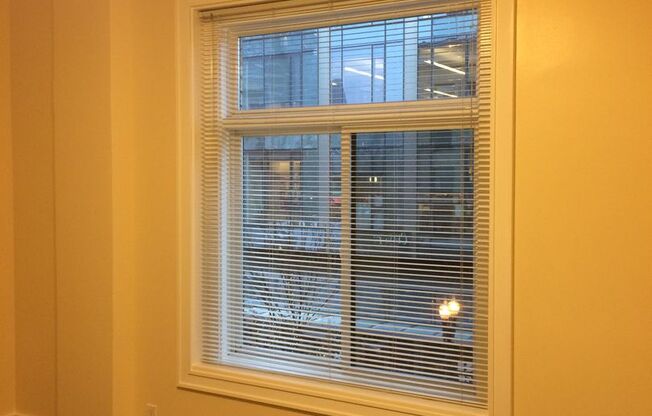 Studio, 1 bath, 285 sqft, $945, Unit 303