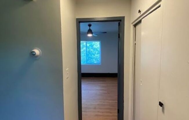 1 bed, 1 bath, 600 sqft, $1,125