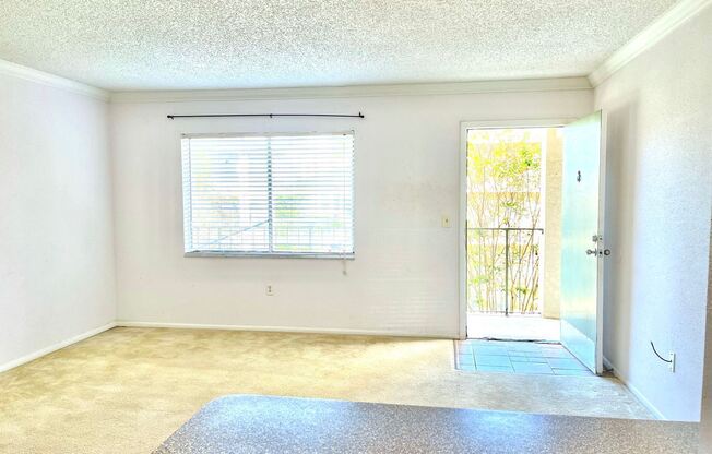 131 Water Front Way #230