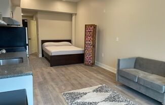 Studio, 1 bath, 410 sqft, $1,225, Unit 204