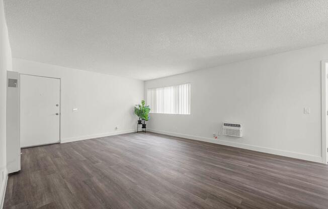 A room with wooden flooring and a small plant in the corner.
