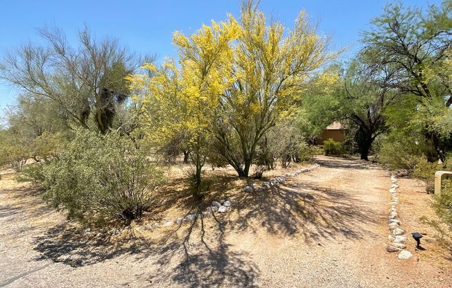 Great Northwest location Magee & La Canada