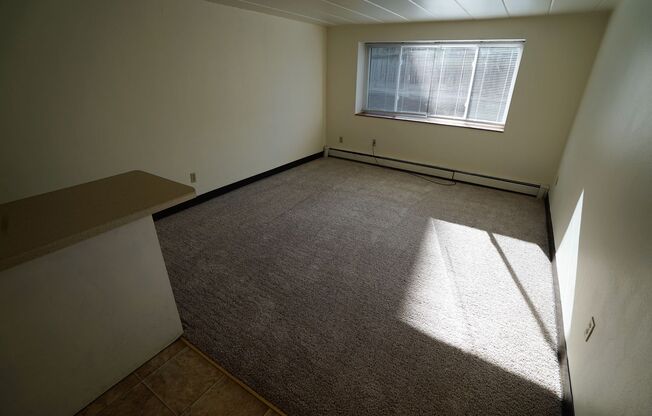 1 bed, 1 bath, $1,100, Unit BG