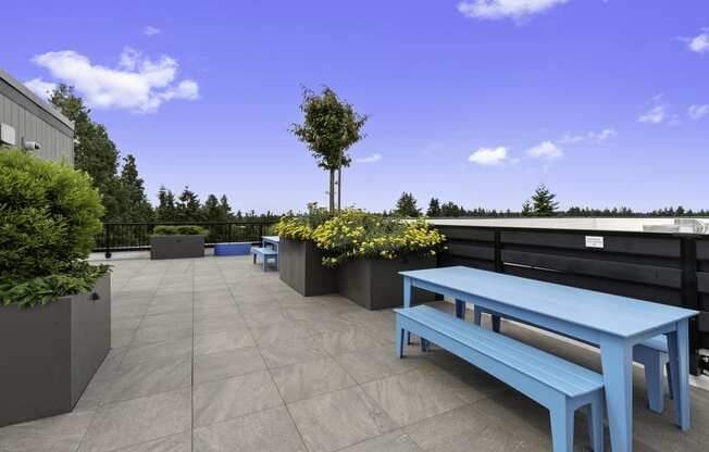 an outdoor seating area on the rooftop lounge with a blue bench and planters with yellow flowers at Arabella Apartment Homes, Washington