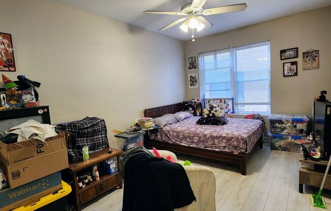Studio, 1 bath, $1,250, Unit 209