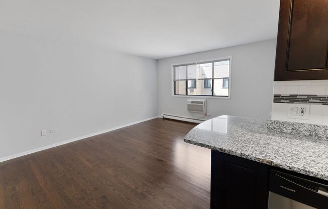 Studio, 1 bath, 356 sqft, $1,550, Unit 507