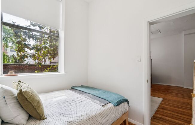 1 bed, 1 bath, 410 sqft, $1,825, Unit 204