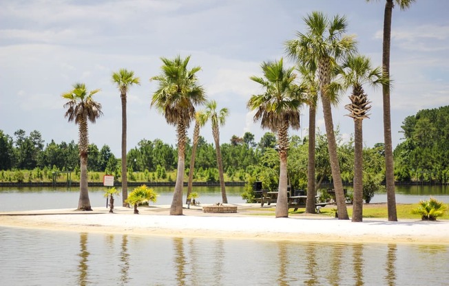 a park with palm trees on the shore of a lake
