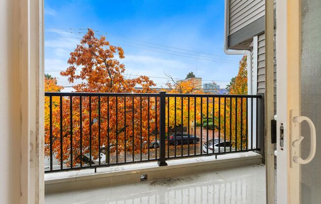 Studio, 1 bath, 413 sqft, $1,445, Unit 201