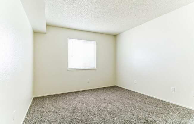 a bedroom with white walls and carpet