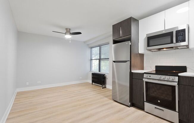 Studio, 1 bath, 250 sqft, $1,450, Unit 2D