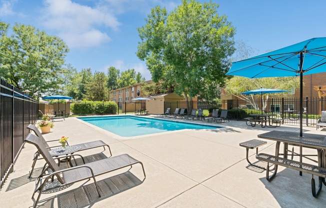 Pool with picnic and loungers