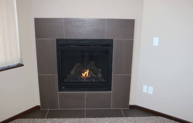gas fireplace