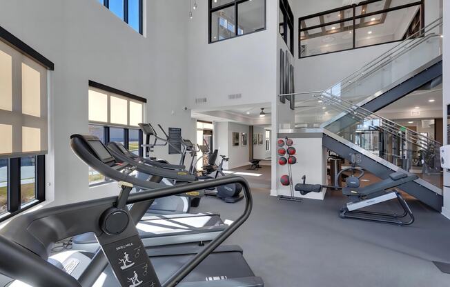 Large Fitness Studio with Cardio Machines