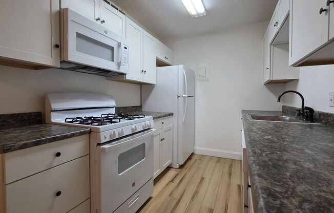 1 bed, 1 bath, $1,100