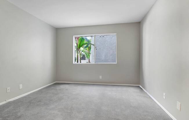 an empty room with a window with a plant in it