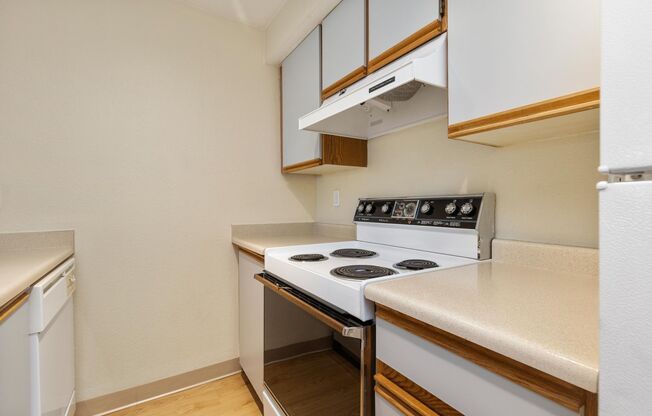 Studio, 1 bath, 504 sqft, $1,495, Unit 115