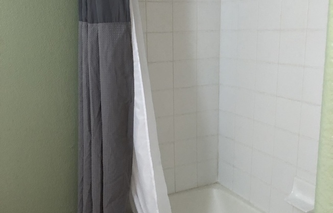 1 bed, 1 bath, $1,600