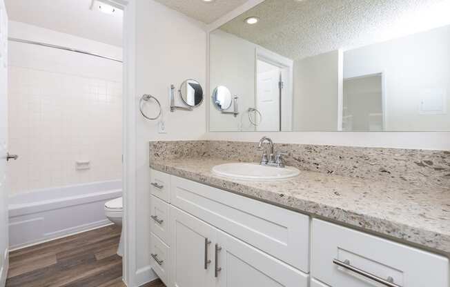 a bathroom with a sink and a toilet and a mirror