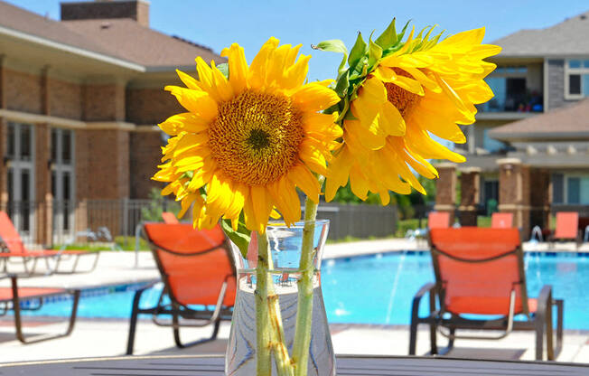 Swimming Pool and Sundeck at Prairie Lakes Apartments, Illinois, 61615