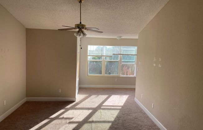 Venetian Place - 1736