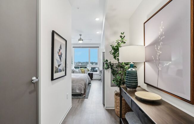 Studio, 1 bath, 308 sqft, $1,450, Unit 534