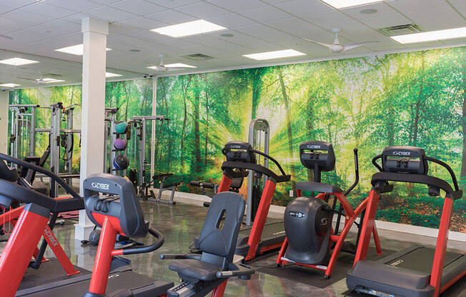 A gym with treadmills and exercise equipment.