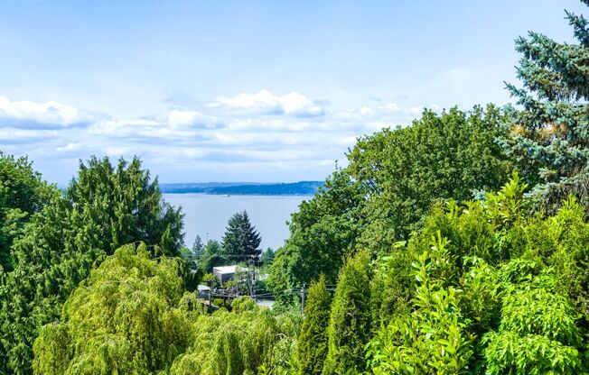 Recently Updated 3 Bed 2 Bath Seattle Home w/ Attached Garage!
