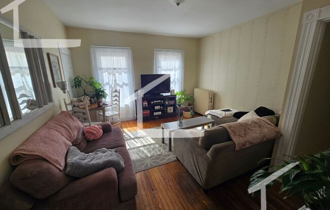 52 Falkland St #1A Boston MA 02135