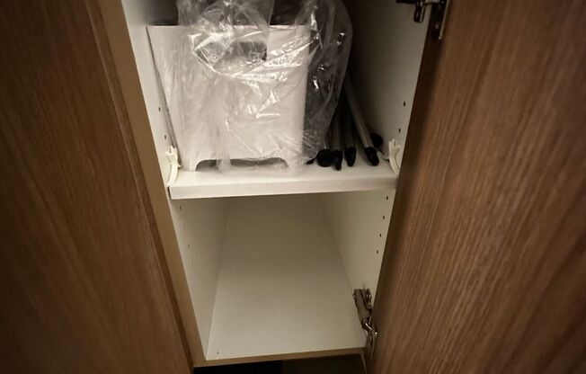 Studio, 1 bath, 244 sqft, $1,495, Unit 113 - Furnished