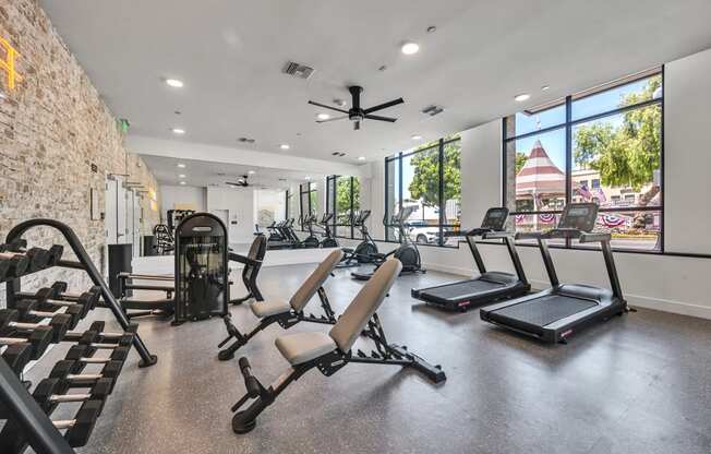A gym with treadmills, weights, and a ceiling fan.