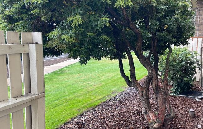 1 bed, 1 bath, 610 sqft, $1,100, Unit 46