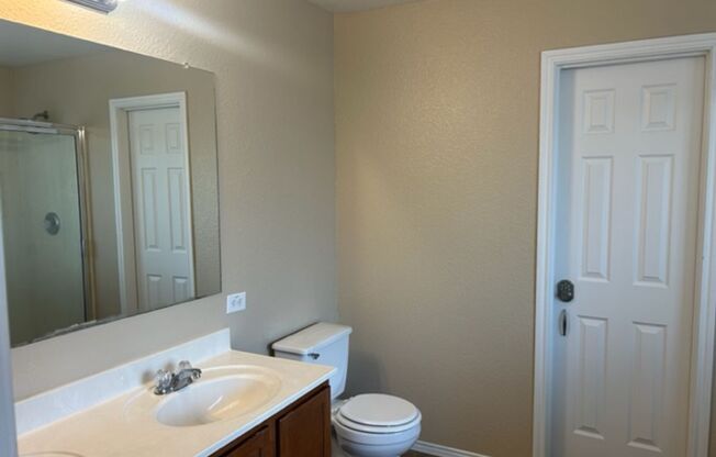 8407 Silver Brush