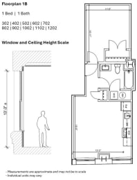 1 bed, 1 bath, 613 sqft, $1,802