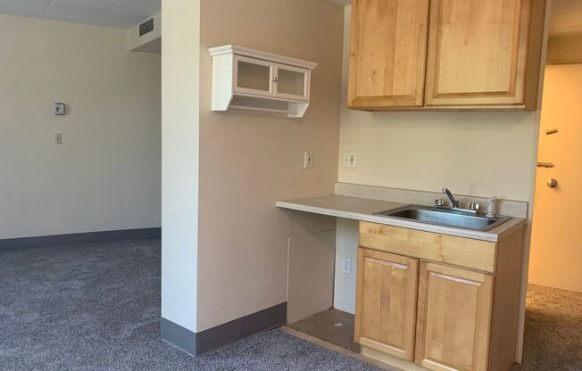 Studio, 1 bath, $750, Unit 373
