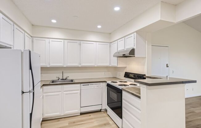 1 bed, 1 bath, $1,550, Unit #305