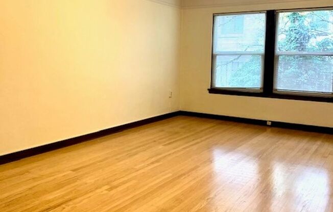 Studio, 1 bath, 515 sqft, $1,445, Unit 101