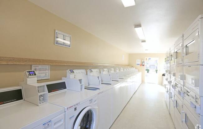 Picture of Laundry Room with all washers and dryers in view