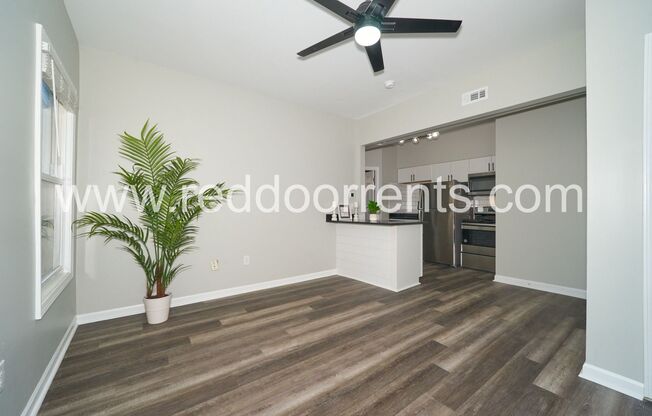 1 bed, 1 bath, 480 sqft, $900, Unit Unit 2