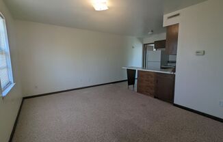 1 bed, 1 bath, $625, Unit 706 W Cunningham Dr. Apt. 4