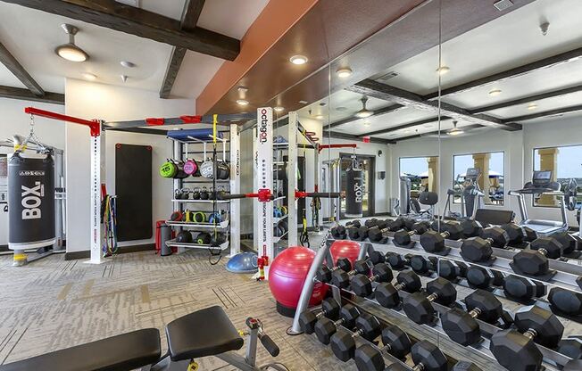 a gym with weights and dumbbells and other exercise equipment