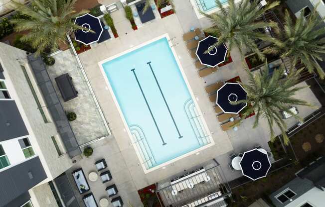 a large pool with palm trees and umbrellas in a pool courtyard