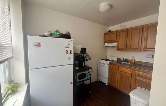 1 bed, 1 bath, 396 sqft, $1,095, Unit A106