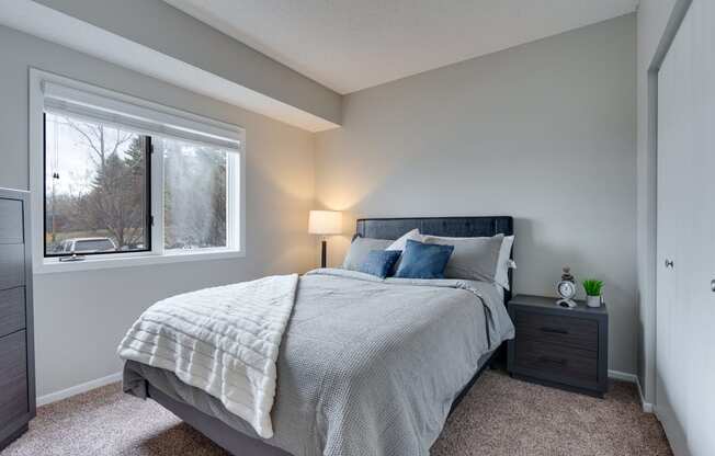 Carpeted Bedroom With Lots Of Natural Light