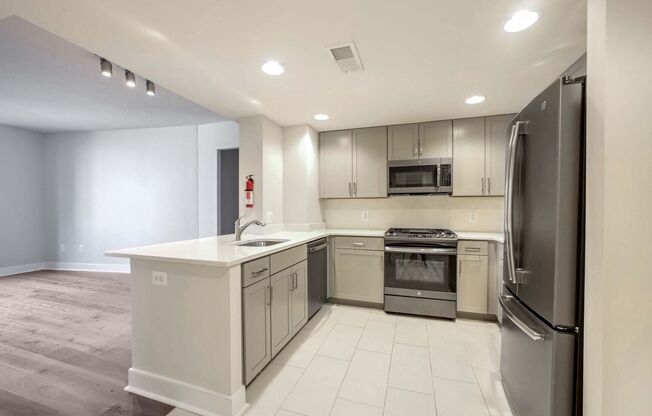 1 bed, 1 bath, $2,499, Unit APARTMENT 602